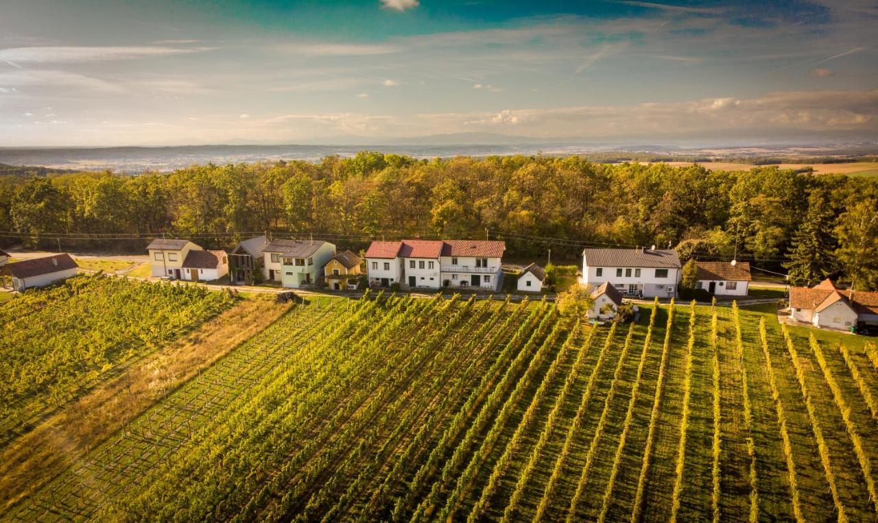 Ferienhaus Szapary II Eisenberg an der Pinka Eksteriør billede