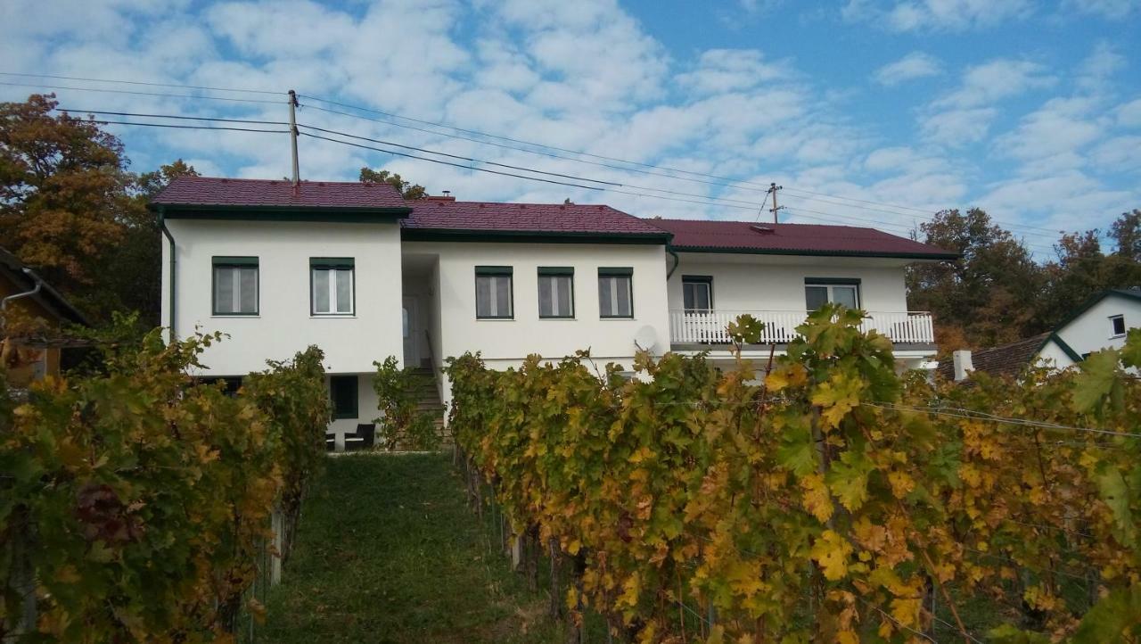 Ferienhaus Szapary II Eisenberg an der Pinka Eksteriør billede